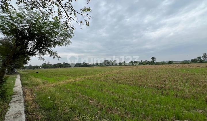 Dijual Tanah Luas Dan Strategis Di Bangodua, Indramayu