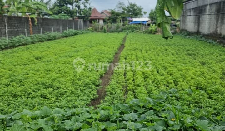 Tanah Strategis Dekat Fasum Ugm Ull Jalan Damai Ngaglik Sleman