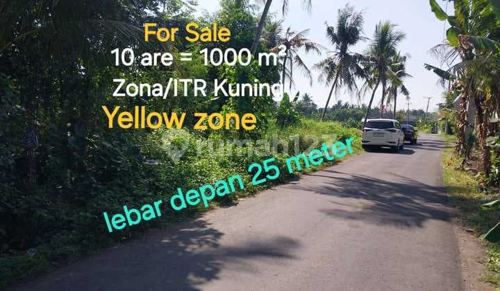 Tanah 5 Are Dikontrakkan Tanah Dijual 9 Are Di Nyambu Buwit