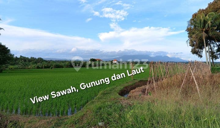Dijual Tanah Dekat Pantai Abian Kapas dan Pantai Pasut