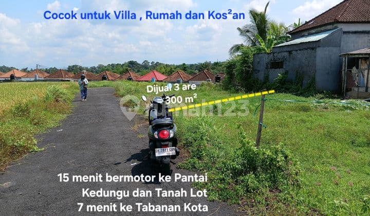 Tanah Dijual Dekat Pantai Kedungu