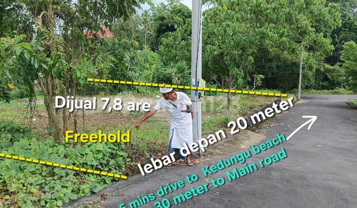 Tanah Dijual SHM 780 M2 Dekat Pantai Kedungu Bali