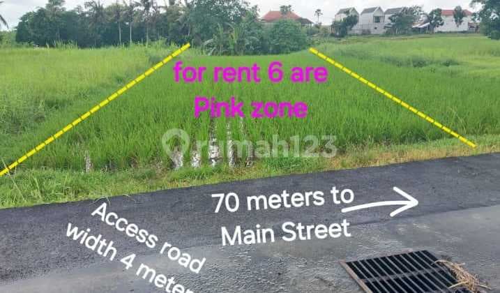 Leasehold Land 400 Meters From Kedungu Beach In Tabanan Bali