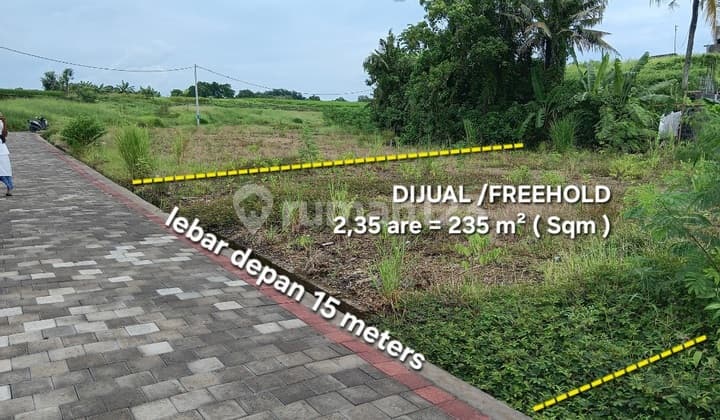 Tanah Dijual SHM 235 M2 Dekat Pantai Kedungu