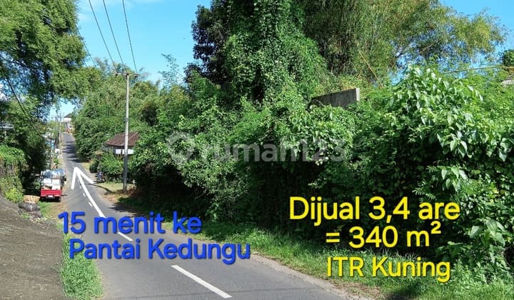 Tanah Dijual 15 Menit Bermotor Ke Pantai Kedungu Tabanan Bali