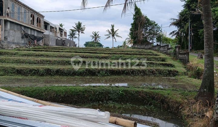 Land Dir Rent... Tanganku Terjumpa2 Anjing Nf