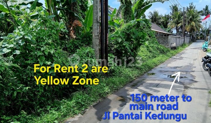 Leasehold Land Near Kedungu Beach In Tabanan Bali