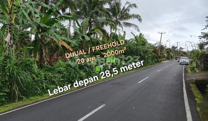 Tanah Dijual di Dekat Pura Batukaru dan Jatiluwih Tabanan Bali