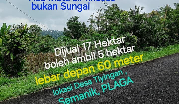 Tanah Dijual Di Semanik Tiyingan Plaga Petang Kabupaten Badung