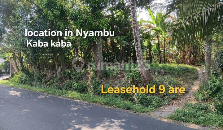 Leasehold Land In Nyambu Kaba Kaba Tabanan Bali