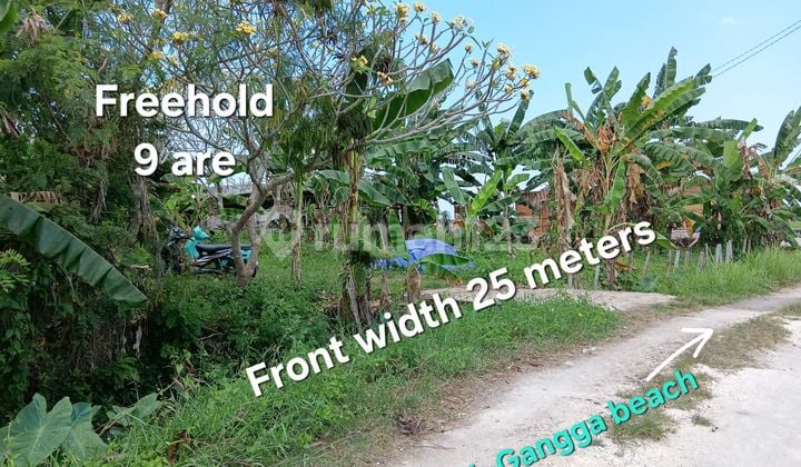 Tanah Dijual Dekat Hotel Waka Gangga Di Pantai Yeh Gangga Bali