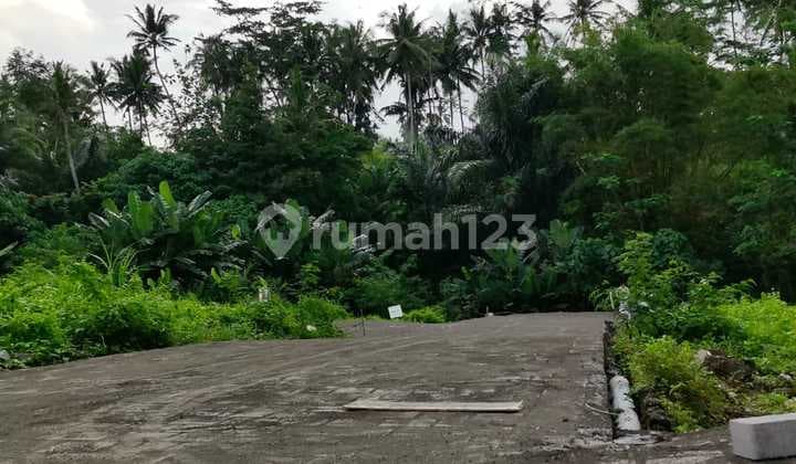 Harga Tanah di Gianyar Cepat Naik - Amankan Kavling Sebelum Kehabisan