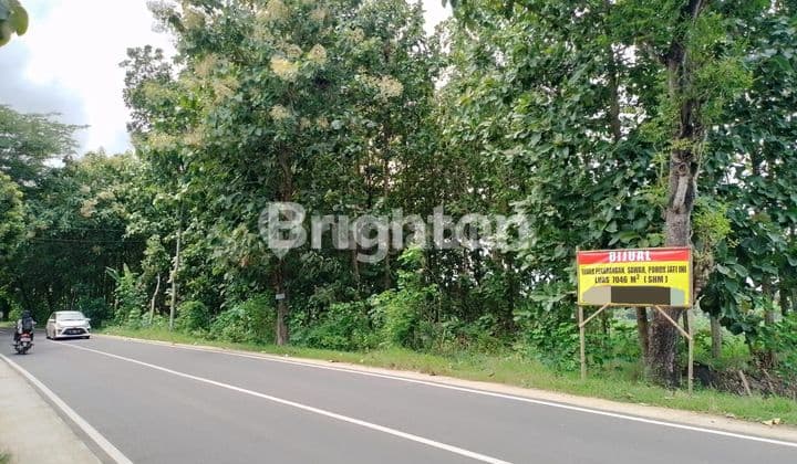 DIJUAL TANAH MURAH DI NGAWI PINGGIR JL PROVINSI