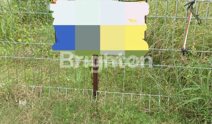 LAND IN KARANGASEM LAND IN KARANGASEM