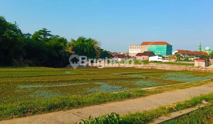 RICE FIELD TEGAL GEDE, KARANGANYAR