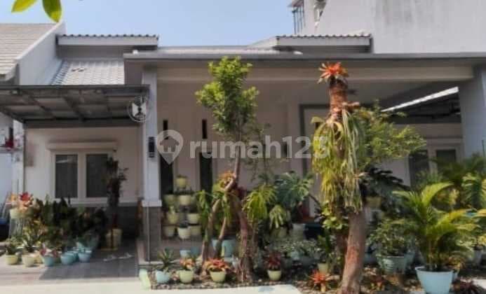 For Sale House in Sutera Kirana Alam Sutera