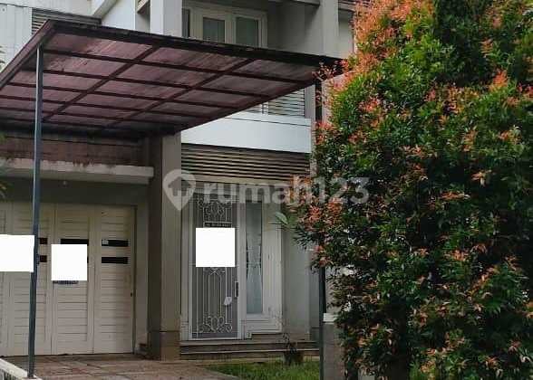 For Rent Ready-to-Occupy House in Sutera Palma Alam Sutera