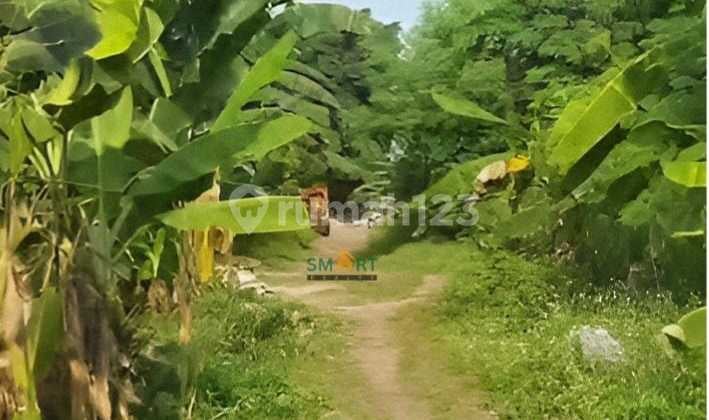 Tanah / Kavling Strategis Di Cilangkap, Cipayung, Jakarta Timur