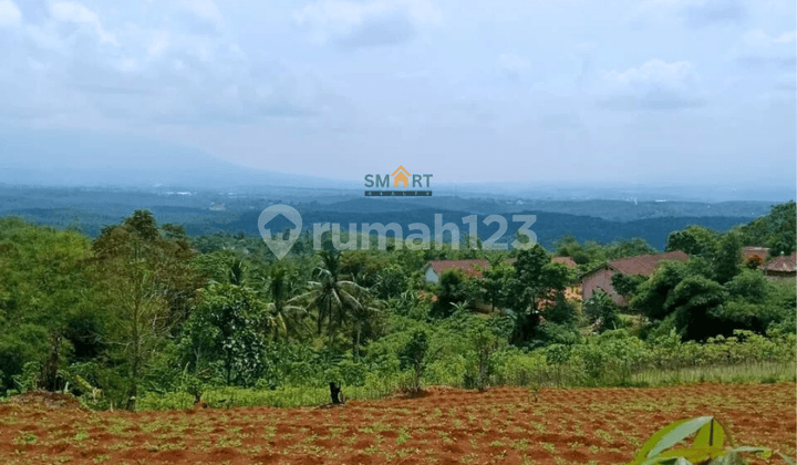 Tanah Kavling Luas Di Cibadak, Sukabumi. Cocok Untuk Investasi Jangka Panjang / Cluster