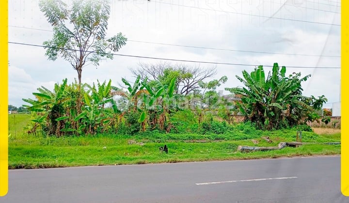 Disewakan Tanah Luas "Sudah Urug" Siap Bangun di Jl. Dlopo Grogol, Kawasan Ramai Strategis