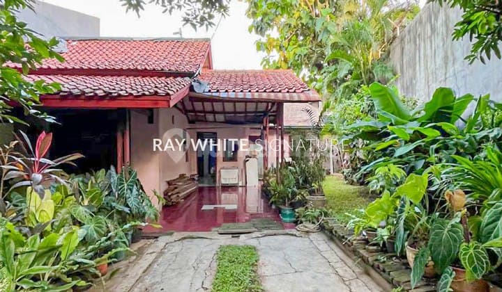 For Sale Classic House, Peaceful and Lush in Cilandak