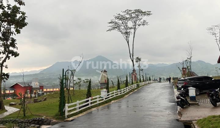 Rekomendasi Kavling SHM Cocok untuk Hunian & Investasi The Hanjawong Villas