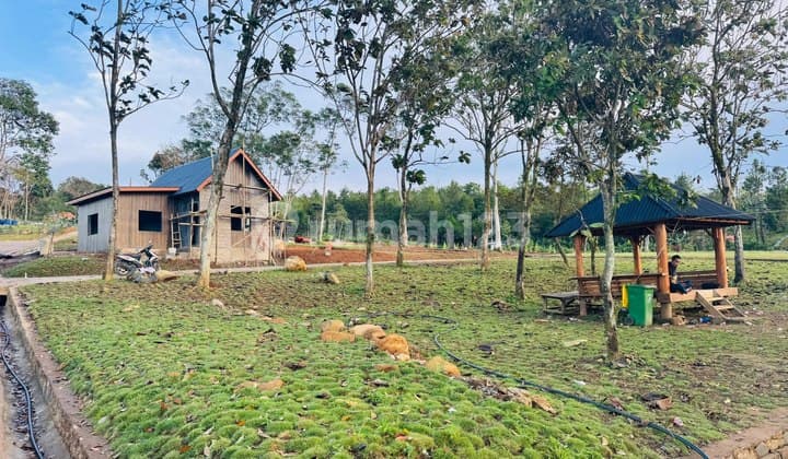 Investasi Masa Depan Kavling Villa SHM Nuansa Eropa Estetik The Hanjawong Villas