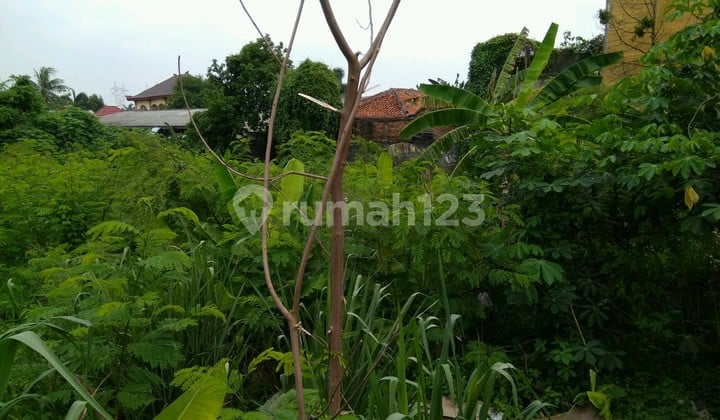 Tanah Komersil Binong Tanah SHM m² 1815.0 di Curug