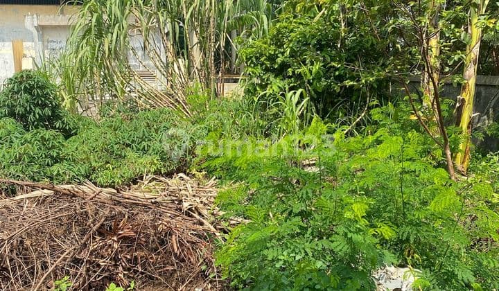 Disewakan Tanah Utk Gudang Di Kapuk Kamal