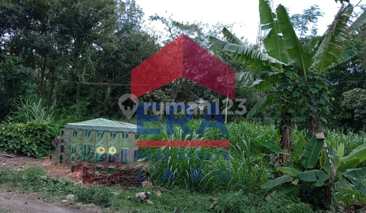 Land 1859 m2, Certificate of Ownership (SHM), Talun, Blitar. Land 1859 m2, Certificate of Ownership (SHM), Talun, Blitar.