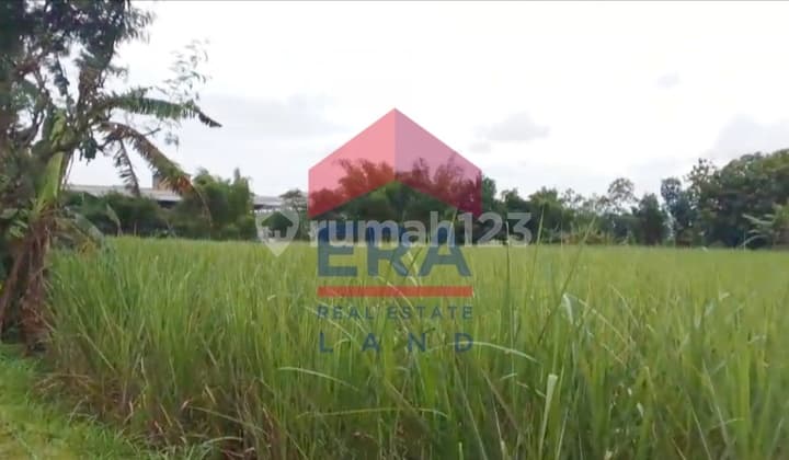 Tanah, SHM, di Wagir