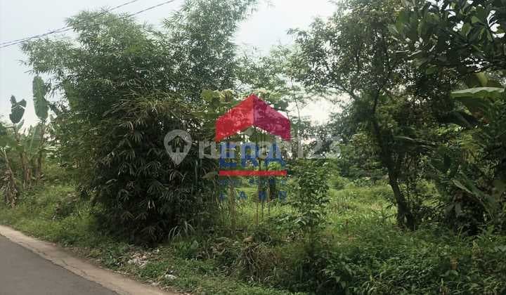 Tanah, SHM, di Jabung