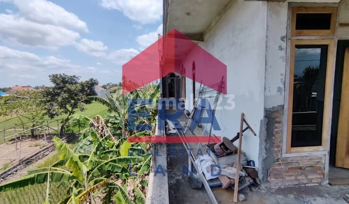 Ruko dan Sawah Lelang Bagus 242 m2 SHM Mangunrejo, Kepanjen, Malang