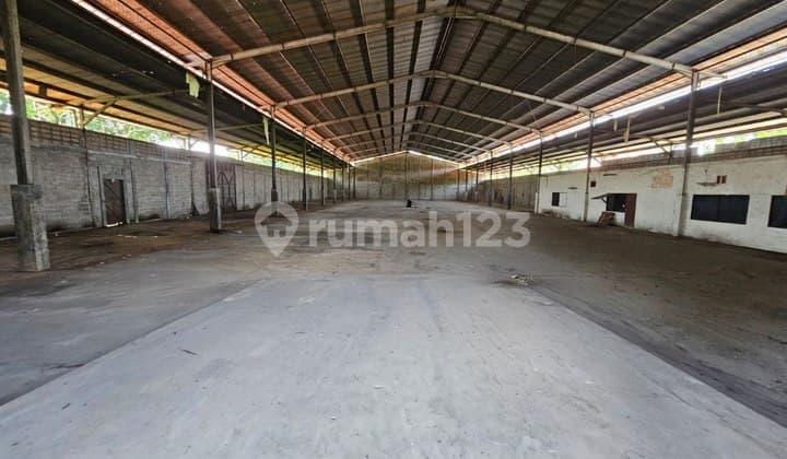 Disewakan Cepat Gudang Stand Alone 2500M2 Tanah Sereal Bogor