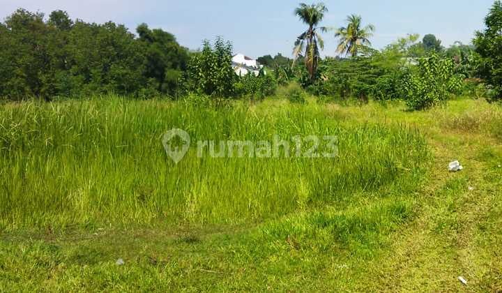 DISEWAKAN KAVLING LAHAN DI CIKARANG BARAT 635 METER