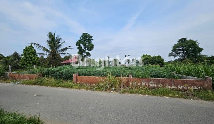 TANAH 1019 TANJUNG SELAMAT