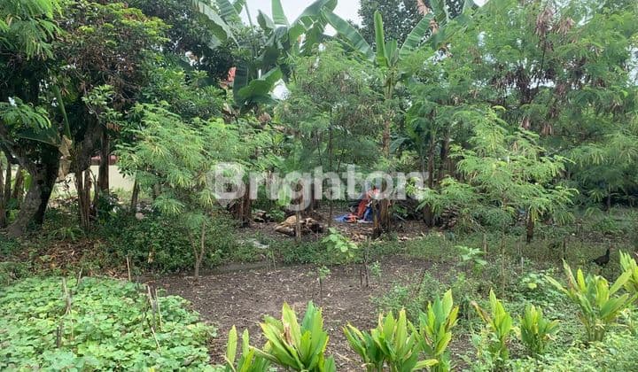 TANAH SUNGGAL 686,65