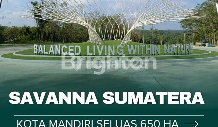 savana sumatera agatha