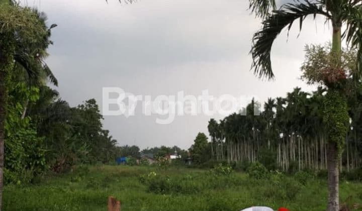 tanah danau poso,gatot Subroto