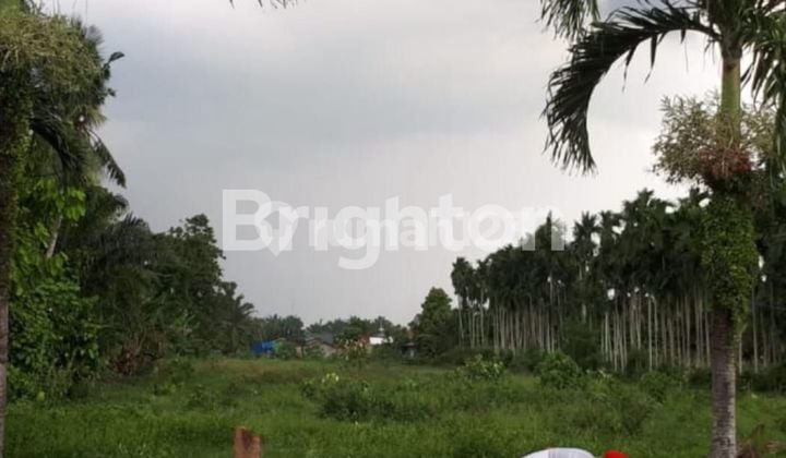 tanah danau poso,gatot Subroto