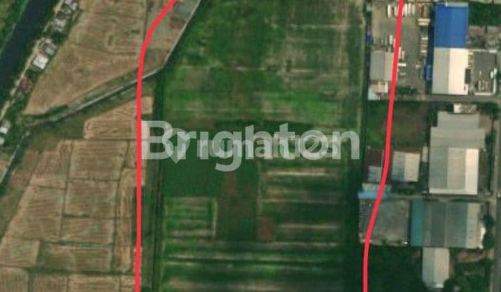 TANAH 12 HA BERGADAI