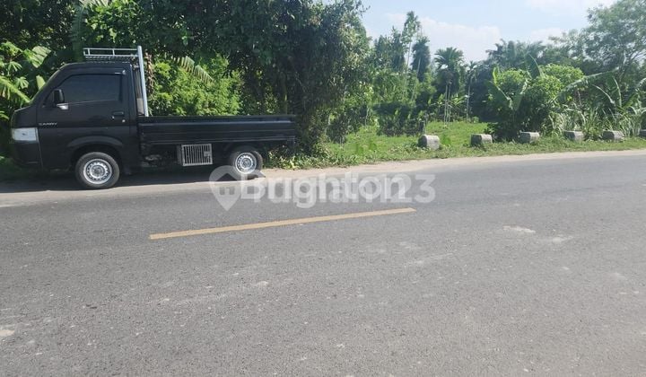 TANAH 613 BTG KUIS LUBUK PAKAM