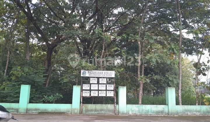 Dijual Tanah Premium Bernuansa Alam - Genjahan, Ponjong, Gunungkidul