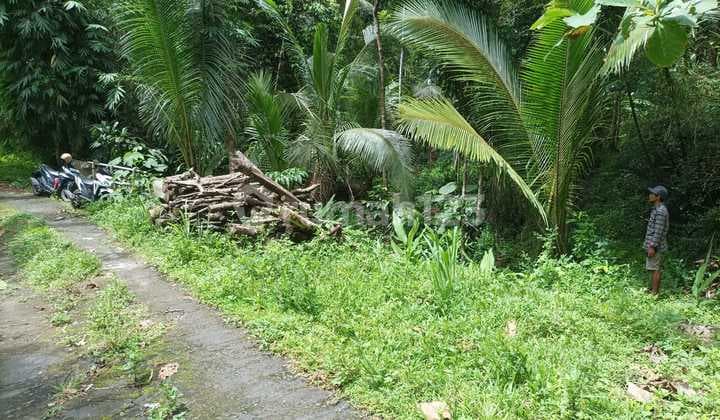 Dijual Tanah Sawah Produktif Lokasi Pendoworejo - Girimulyo Kulon Progo