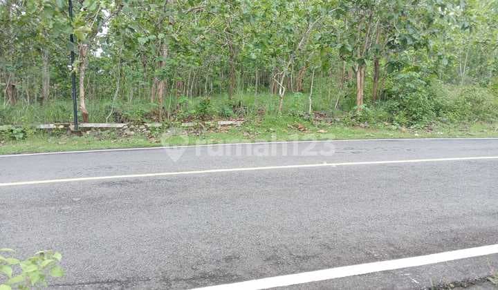 Tanah Tegal Luas 4121 Meter Persegi Lokasi Giriwungu - Panggang Gunung Kidul