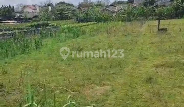 Tanah 258 Cocok Untuk Ruang Usaha Lokasi Dekat SMKN 1 Sewon Bantul