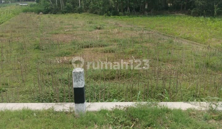 Tanah Pertanian Luas 706 Meter Persegi Lokasi Pundong Bantul