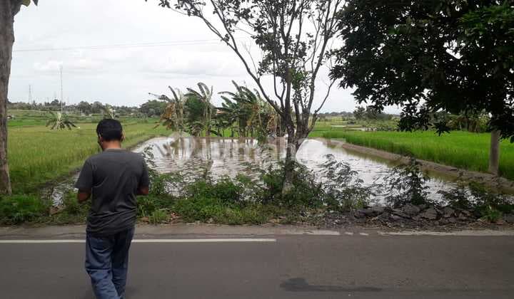 Tanah Luas 2625 Meter Persegi Lokasi Strategis di Kebon Arum Klaten