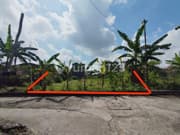 Tanah Sawah Luas 356 Meter Persegi Lokasi Strategis di Daerah Kasihan Bantul