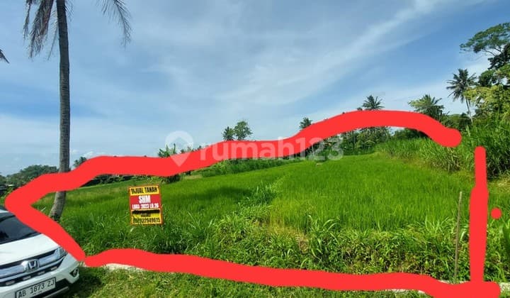 Tanah Sawah Luas 2023 Meter Persegi Lokasi Dekat Kopi Klothok - Pakem Sleman